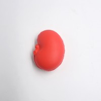 Custom Human Body Organ Toy Anti-Stress Kidney Shape Stress Ball